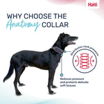 Halti Anatomy Dog Collar