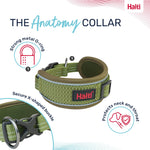 Halti Anatomy Dog Collar