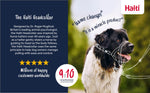 Halti Headcollar for Dogs