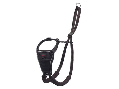 No Pull Dog Harness (Medium) - PetWorld