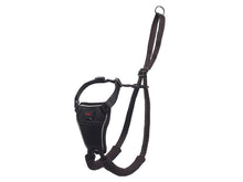 No Pull Harness Small - PetWorld