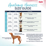 Halti Anatomy Dog Harness