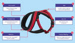 Halti Comfy Harness