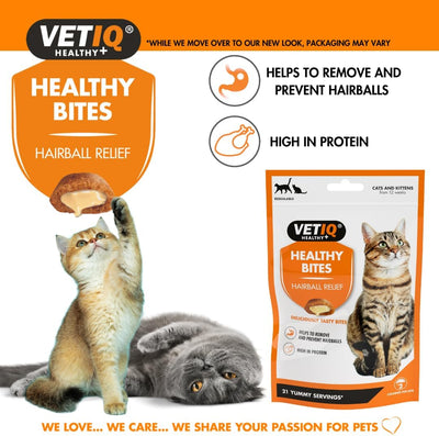 VetIQ Healthy Bites Hairball Relief cat treats 65g pouch with cats: helps remove and prevent hairballs, high in protein