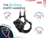 Halti Anatomy Puppy Harness