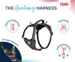 Halti Anatomy Dog Harness