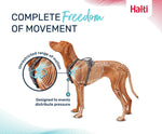 Halti Anatomy Dog Harness