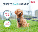 Halti Anatomy Puppy Harness
