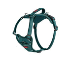 Halti Anatomy Dog Harness