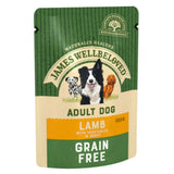 James Wellbeloved Grain Free Lamb in Pouch 100g
