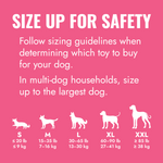 KONG Puppy - Valuepet.ie