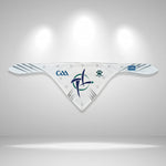Kildare GAA Pet Bandana