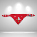 Louth GAA Pet Bandana