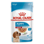 Medium-breed puppy eating high-energy kibble — immune & digestive support formula.