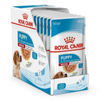 Medium-breed puppy eating high-energy kibble — immune & digestive support formula.