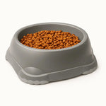 Moderna Smarty Dog food Bowl Grey