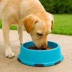 Moderna Smarty Medium Dog Bowl 750mL