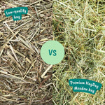 Moreish Meadow Hay