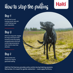 Halti No Pull Dog Harness