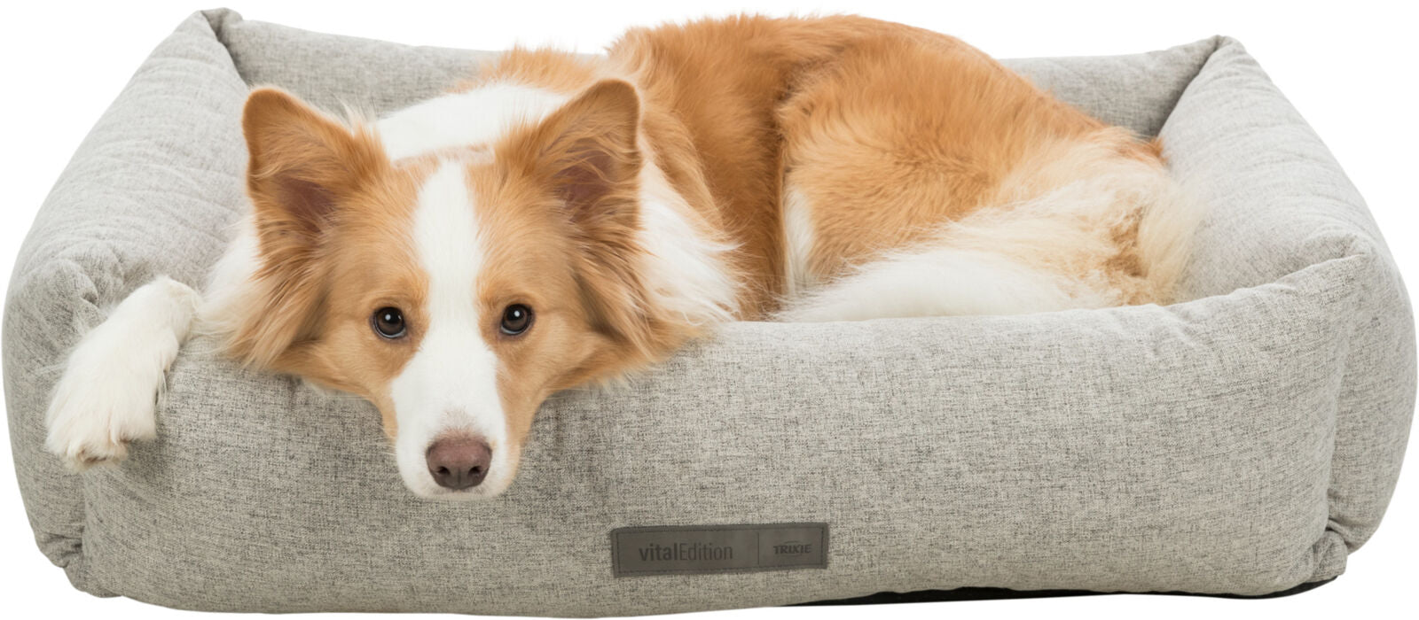 Noah Vital Orthopaedic Dog Bed - Grey - Valuepet.ie