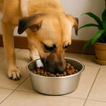 Nobby Stainless Rust Resistant Bowl 11cm
