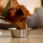 Easy-clean metal bowl
