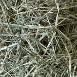 Outstanding Oat Hay 1kg