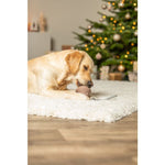 Trixie Christmas Rubber Bell with Rope