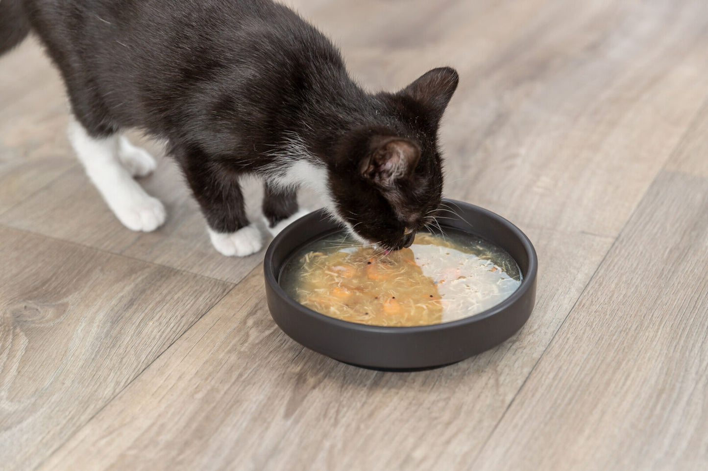 Trixie Cat Soup - Valuepet.ie