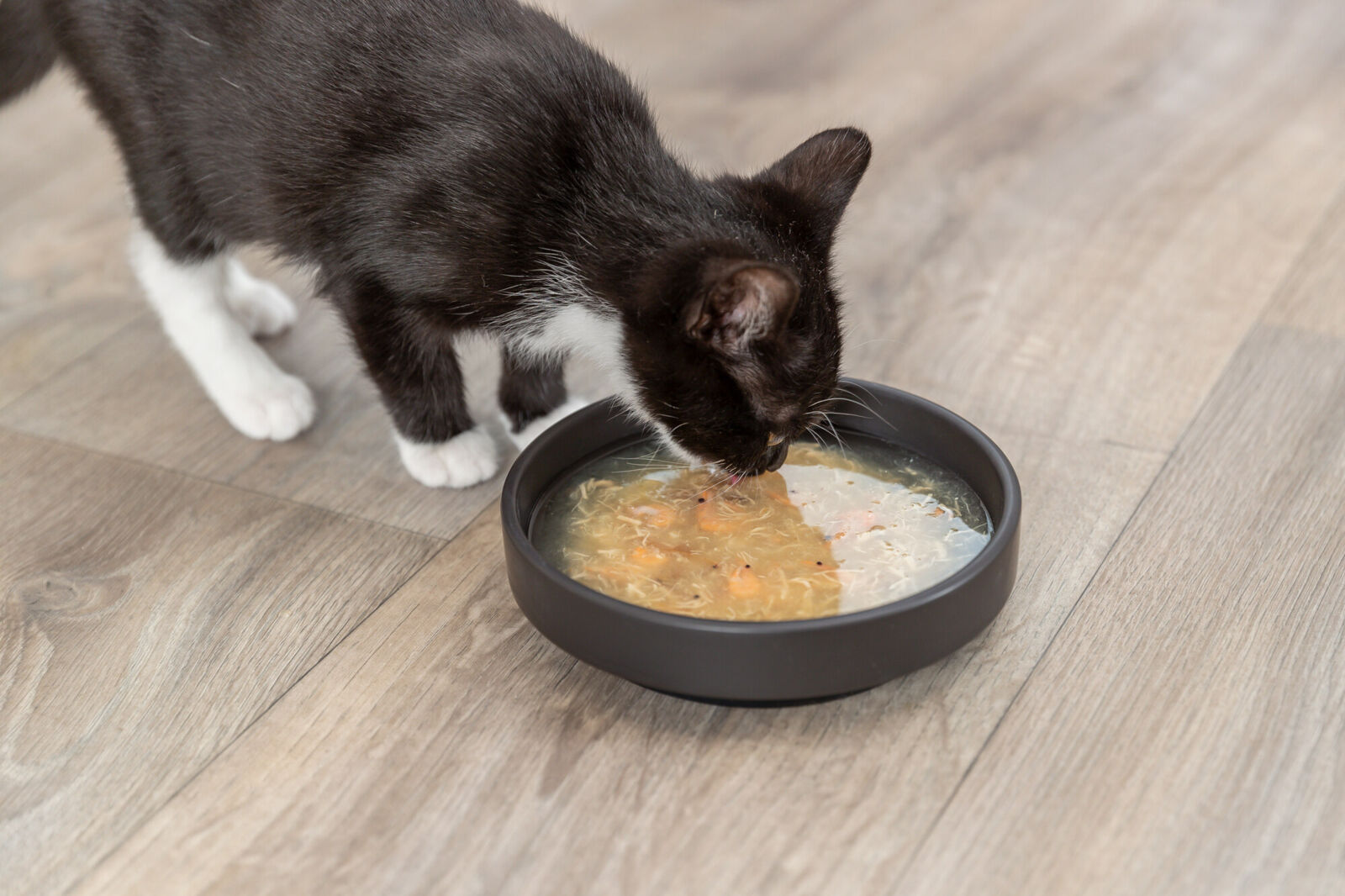 Trixie Kittis Soup - Valuepet.ie
