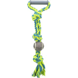 Trixie Playing Rope with Tennis Ball