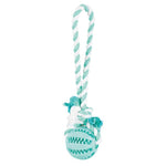 Trixie Denta Fun Natural Rubber Ball on a rope 24cm