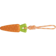 Carrot on a rope dog toy - Valuepet.ie
