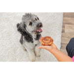 Dog waiting to be given a Trixie Denta Fun Duck Pie chew