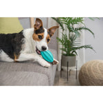 Trixie Denta Fun Rugby Ball, Mint Flavour 11cm