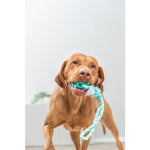 Trixie Denta Fun Natural Rubber Ball on a rope 24cm