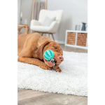 Trixie Denta Fun Natural Rubber Ball on a rope 24cm