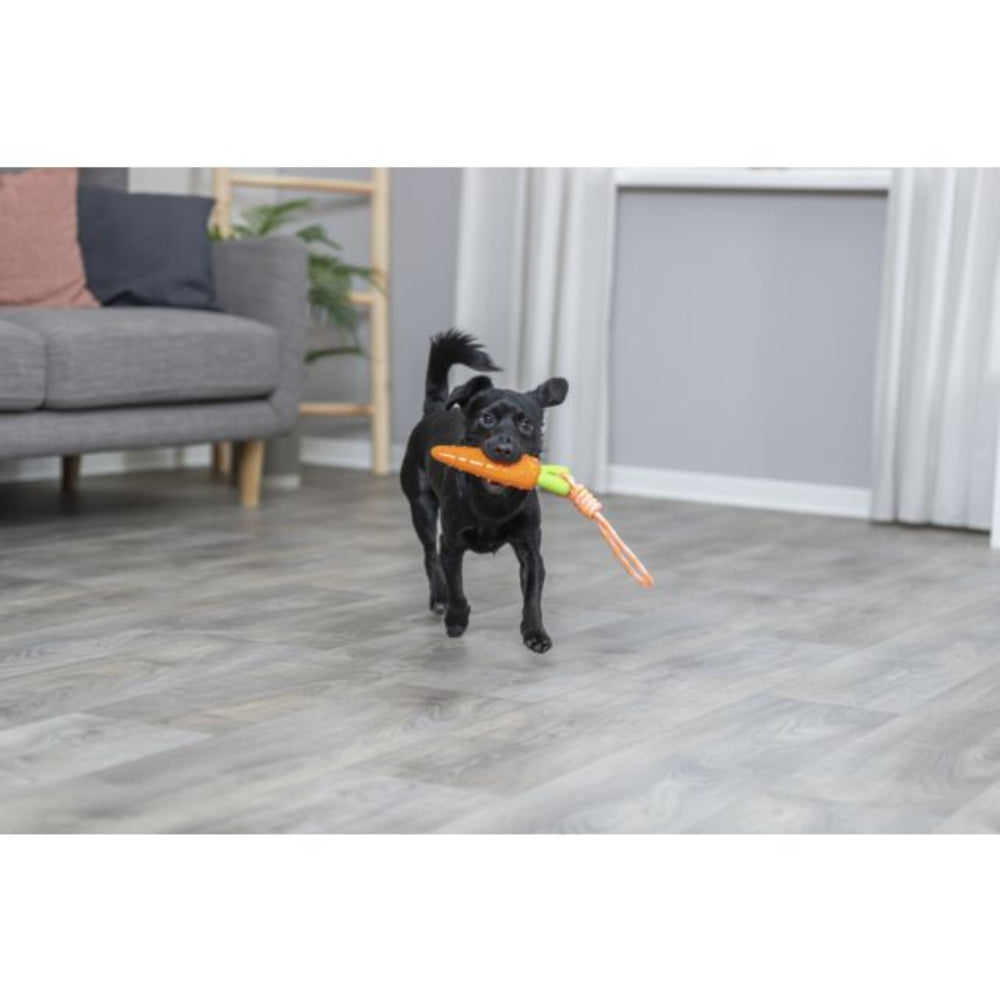 Carrot on a rope dog toy - Valuepet.ie