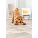 Trixie Duck Latex Dog Toy 18cm