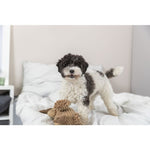 Trixie Vulture Gustav Fabric/Plush Dog Toy 28cm