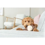 Trixie Moose Plush Dog Toy 36cm