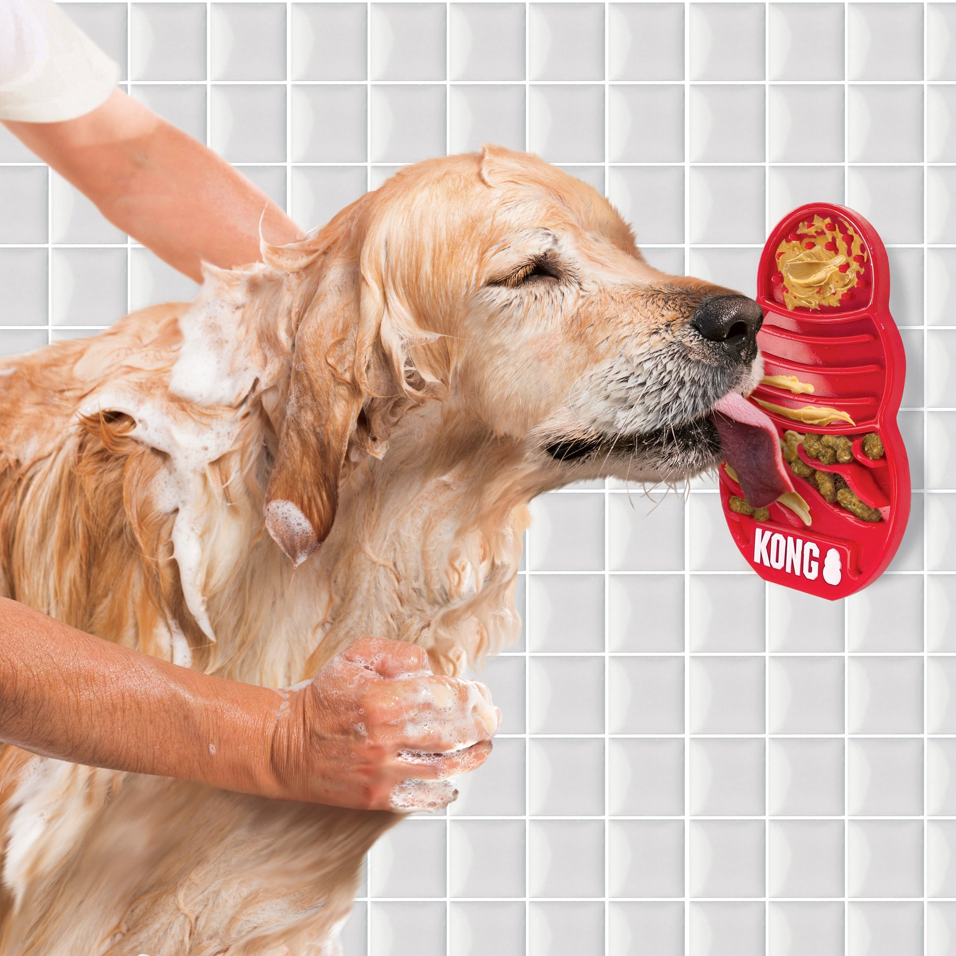 KONG  Licks - Valuepet.ie