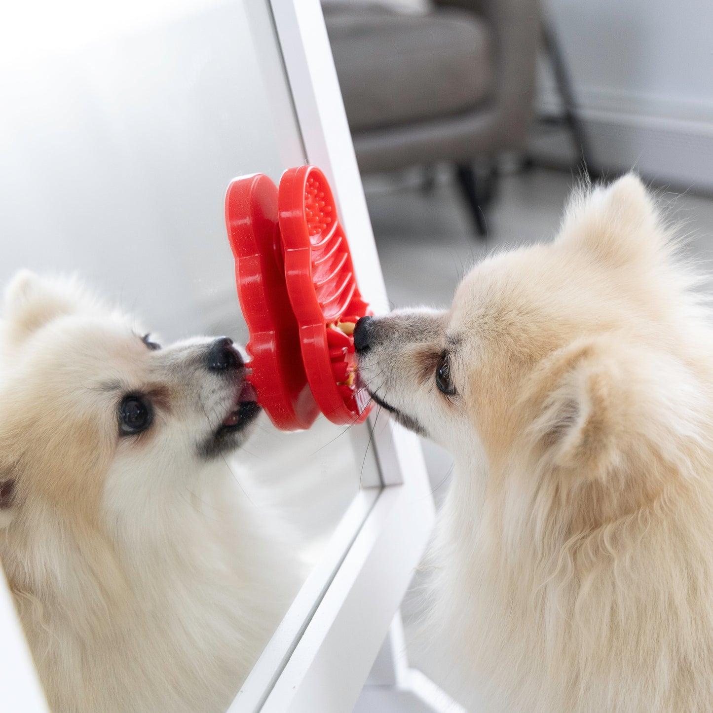 KONG  Licks - Valuepet.ie