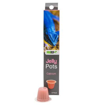 Prorep Jelly Pots - Bug Booster Calcium - Valuepet.ie