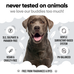 Buddycare Derma Sensitive Shampoo: SLS, sulphate and paraben free, vegan, cruelty free and pH balanced