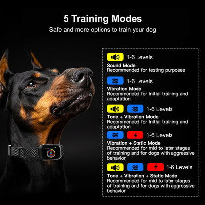 Pawguard B630 Bark Control Collar – Dual-Trigger Recognition System