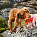JR Pure Turkey Training Treats 85g