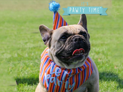 Lets Party Bandana and Hat set - Valuepet.ie