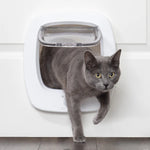Petsafe Big Cat/Small Dog Pet Door