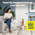Petsafe Big Cat/Small Dog Pet Door